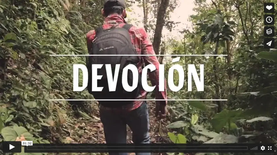 Devoción, Coffee Explorers