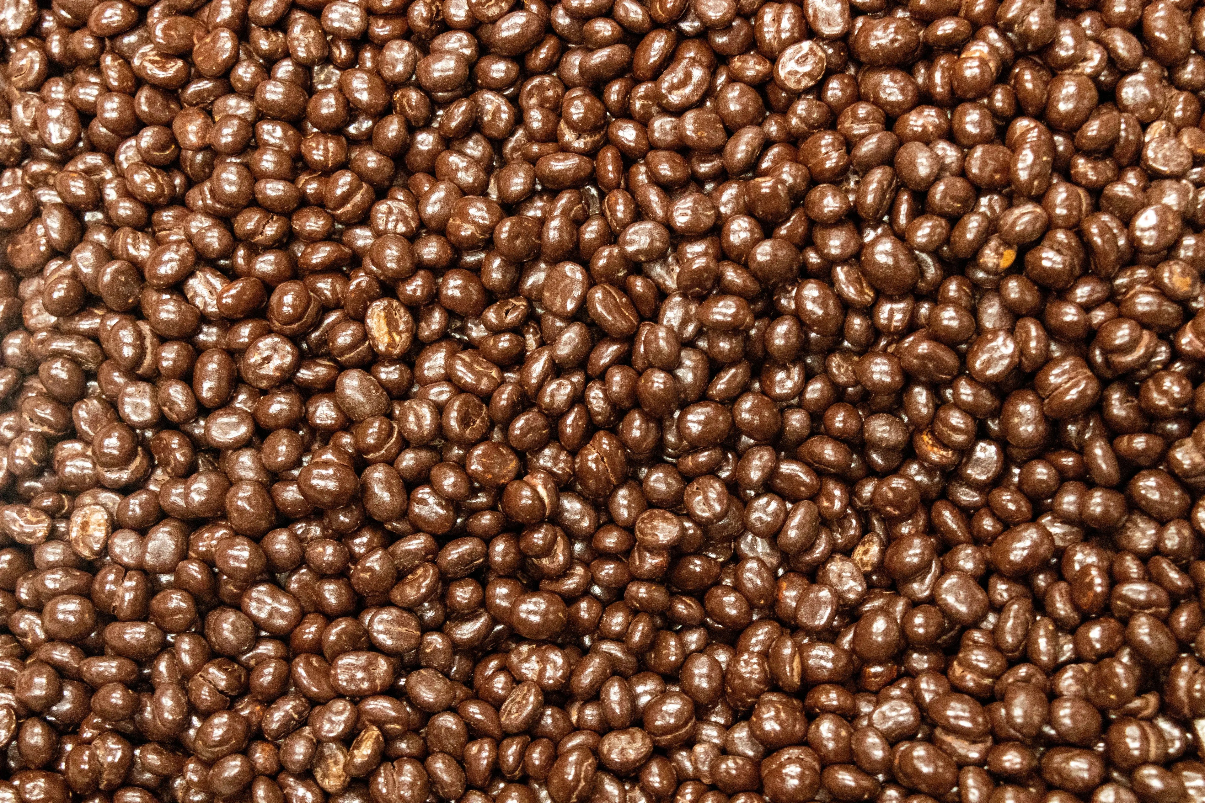 Devoción  DARK CHOCOLATE COVERED COFFEE BEANS