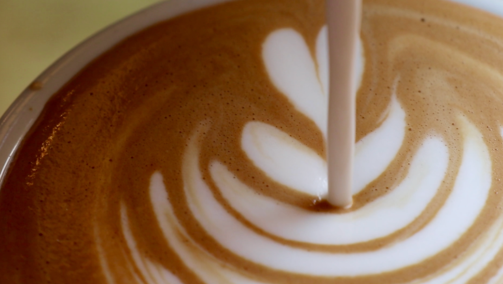 latte art b roll
