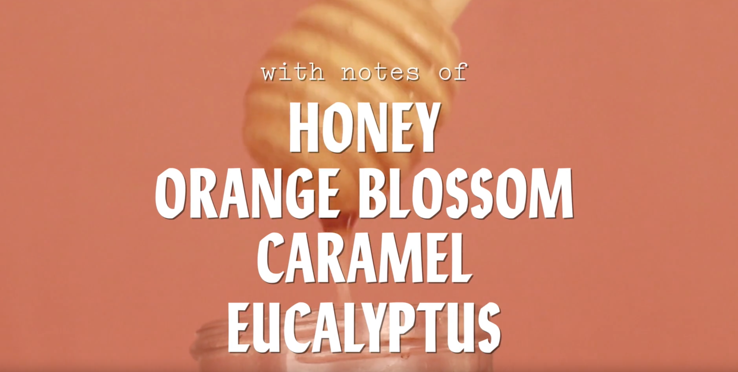 HONEY - 5LB
