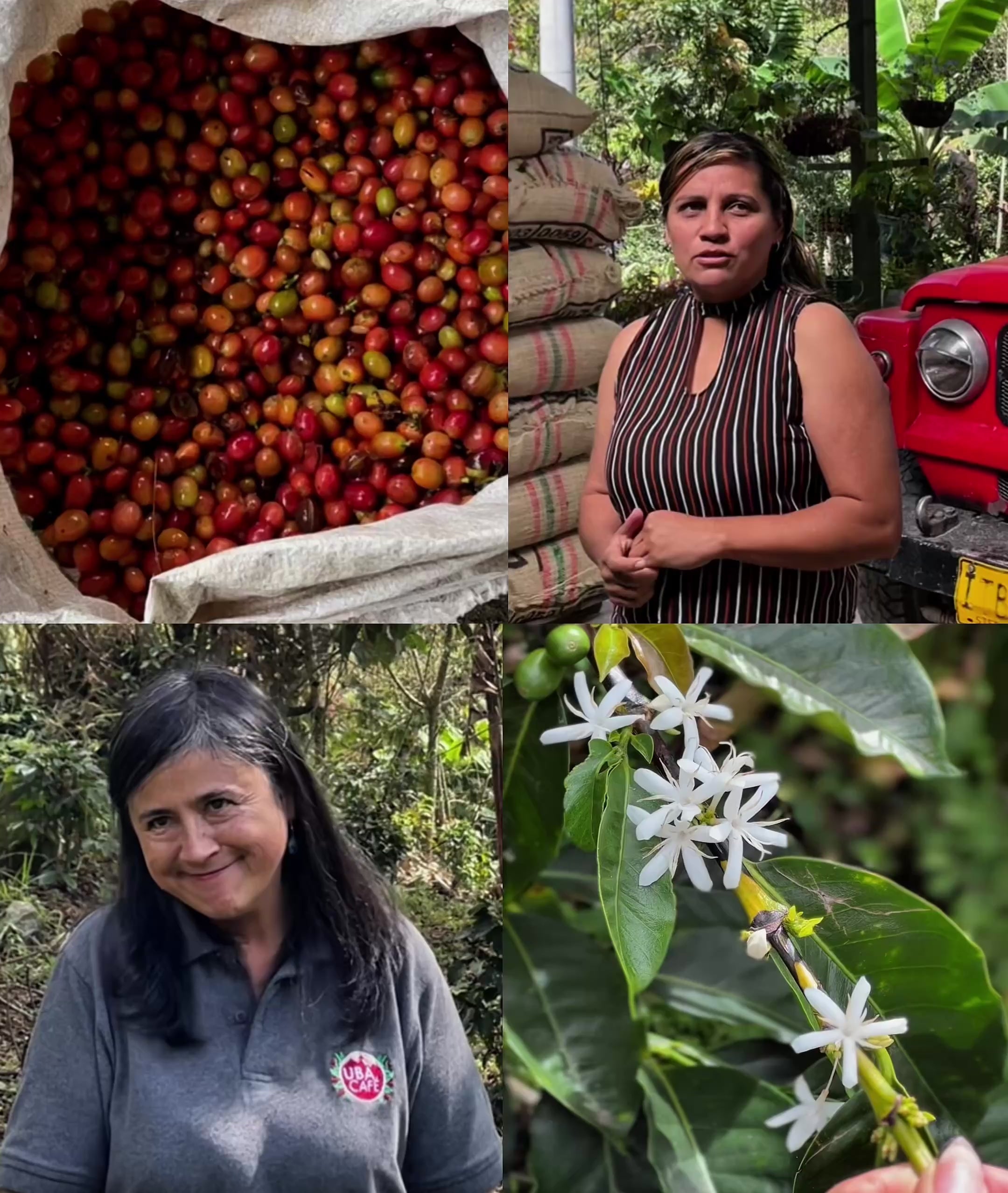 WOMEN IN COFFEE SUBSCRIPTION