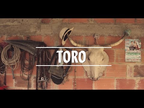 TORO